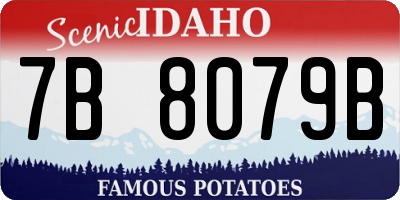 ID license plate 7B8079B