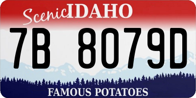 ID license plate 7B8079D