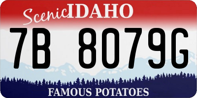 ID license plate 7B8079G