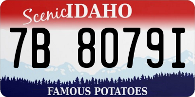 ID license plate 7B8079I