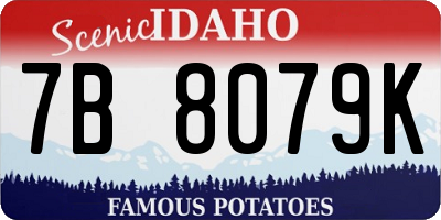 ID license plate 7B8079K