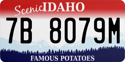 ID license plate 7B8079M