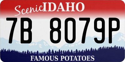 ID license plate 7B8079P