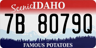 ID license plate 7B8079Q