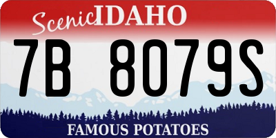 ID license plate 7B8079S