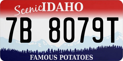 ID license plate 7B8079T