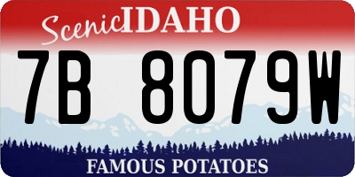 ID license plate 7B8079W