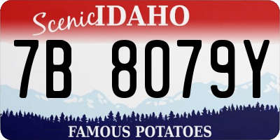 ID license plate 7B8079Y
