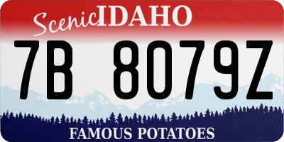 ID license plate 7B8079Z