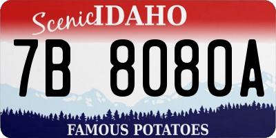 ID license plate 7B8080A