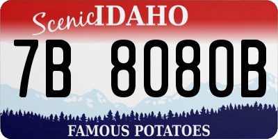 ID license plate 7B8080B