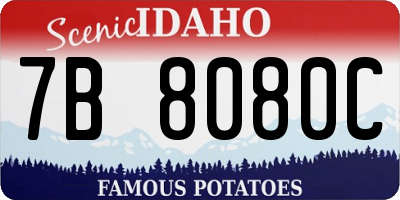 ID license plate 7B8080C