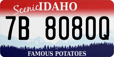 ID license plate 7B8080Q