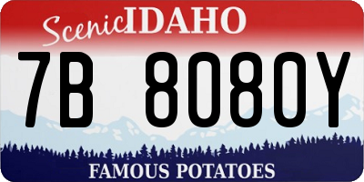 ID license plate 7B8080Y