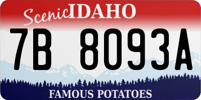 ID license plate 7B8093A