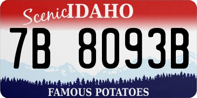 ID license plate 7B8093B