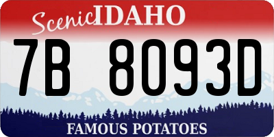 ID license plate 7B8093D