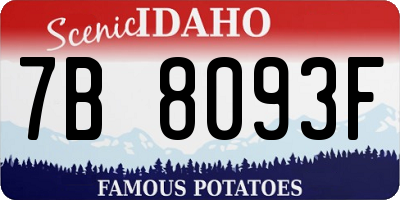 ID license plate 7B8093F