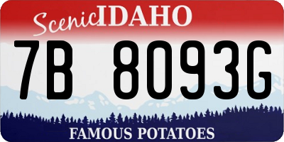 ID license plate 7B8093G