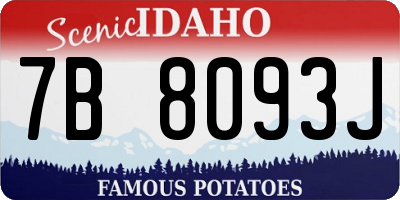 ID license plate 7B8093J