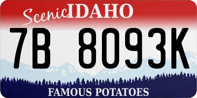 ID license plate 7B8093K