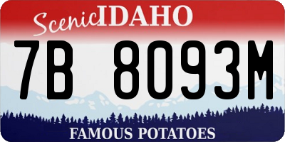 ID license plate 7B8093M