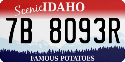 ID license plate 7B8093R