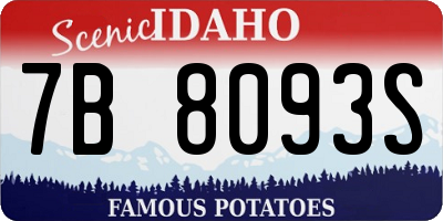 ID license plate 7B8093S