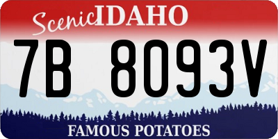 ID license plate 7B8093V
