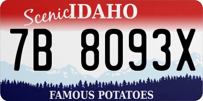 ID license plate 7B8093X