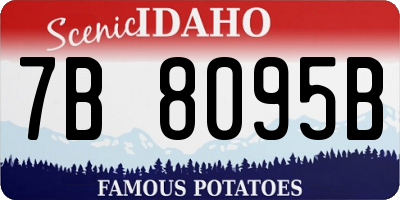 ID license plate 7B8095B