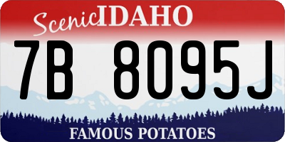 ID license plate 7B8095J