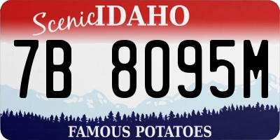 ID license plate 7B8095M
