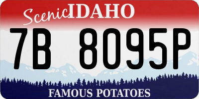 ID license plate 7B8095P