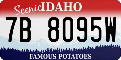 ID license plate 7B8095W