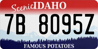 ID license plate 7B8095Z
