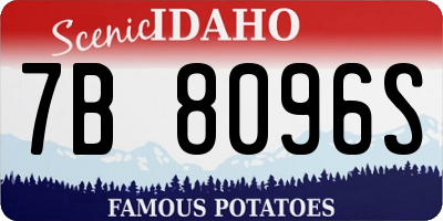 ID license plate 7B8096S