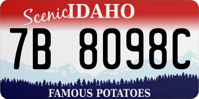 ID license plate 7B8098C