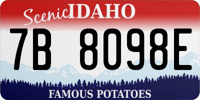 ID license plate 7B8098E