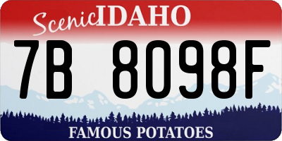 ID license plate 7B8098F
