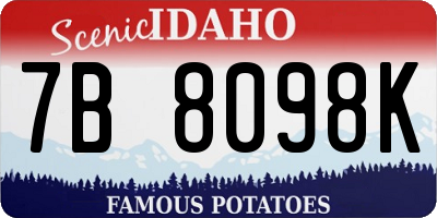 ID license plate 7B8098K