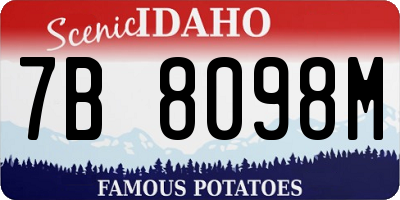 ID license plate 7B8098M