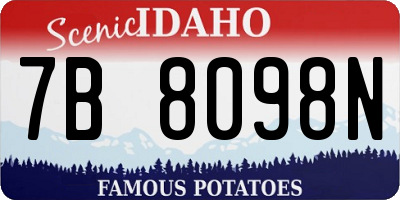 ID license plate 7B8098N