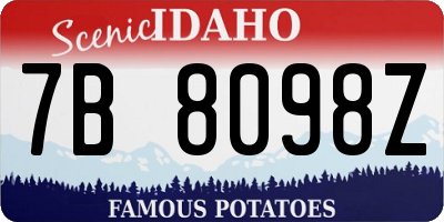 ID license plate 7B8098Z