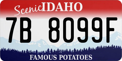 ID license plate 7B8099F
