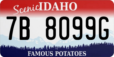 ID license plate 7B8099G