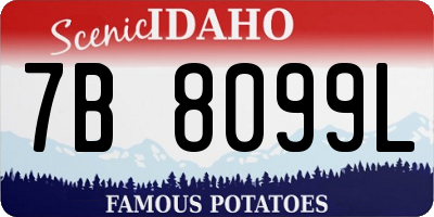 ID license plate 7B8099L