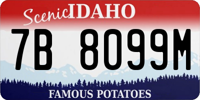 ID license plate 7B8099M