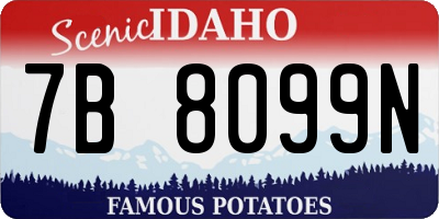 ID license plate 7B8099N