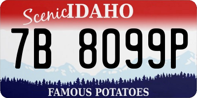 ID license plate 7B8099P